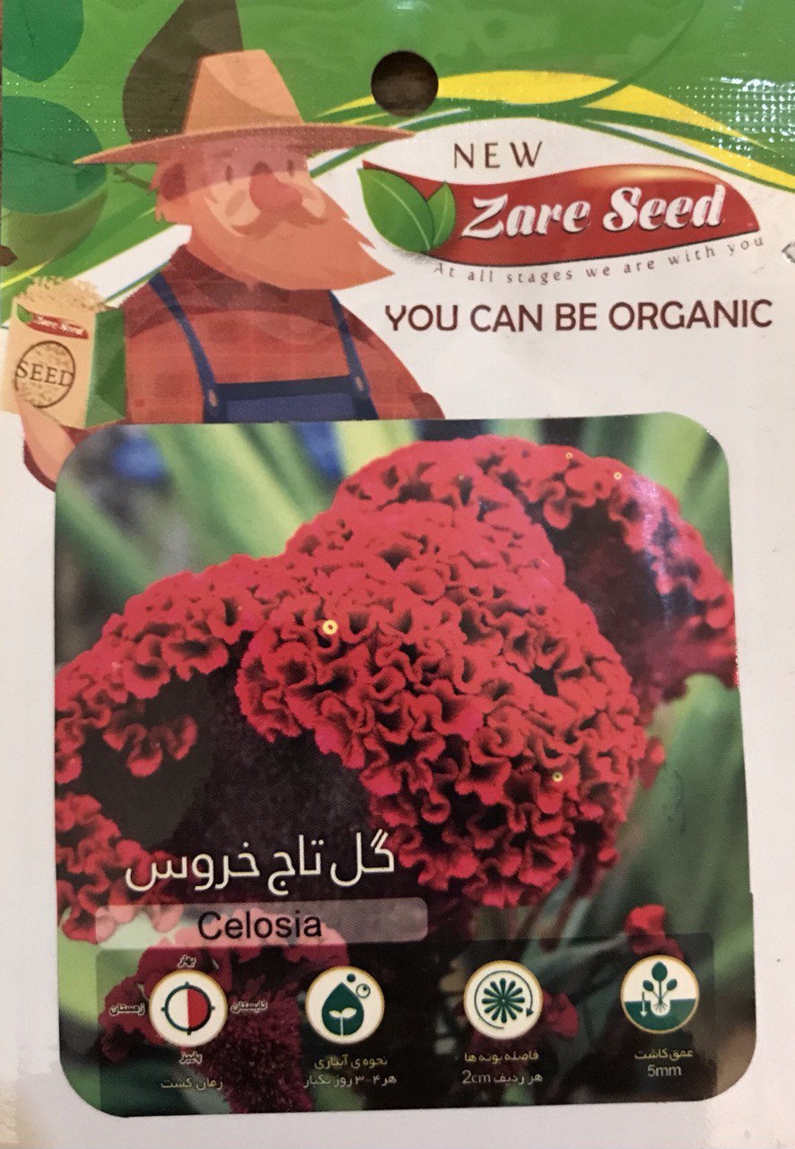 بذر گل تاج خروس زارع سید