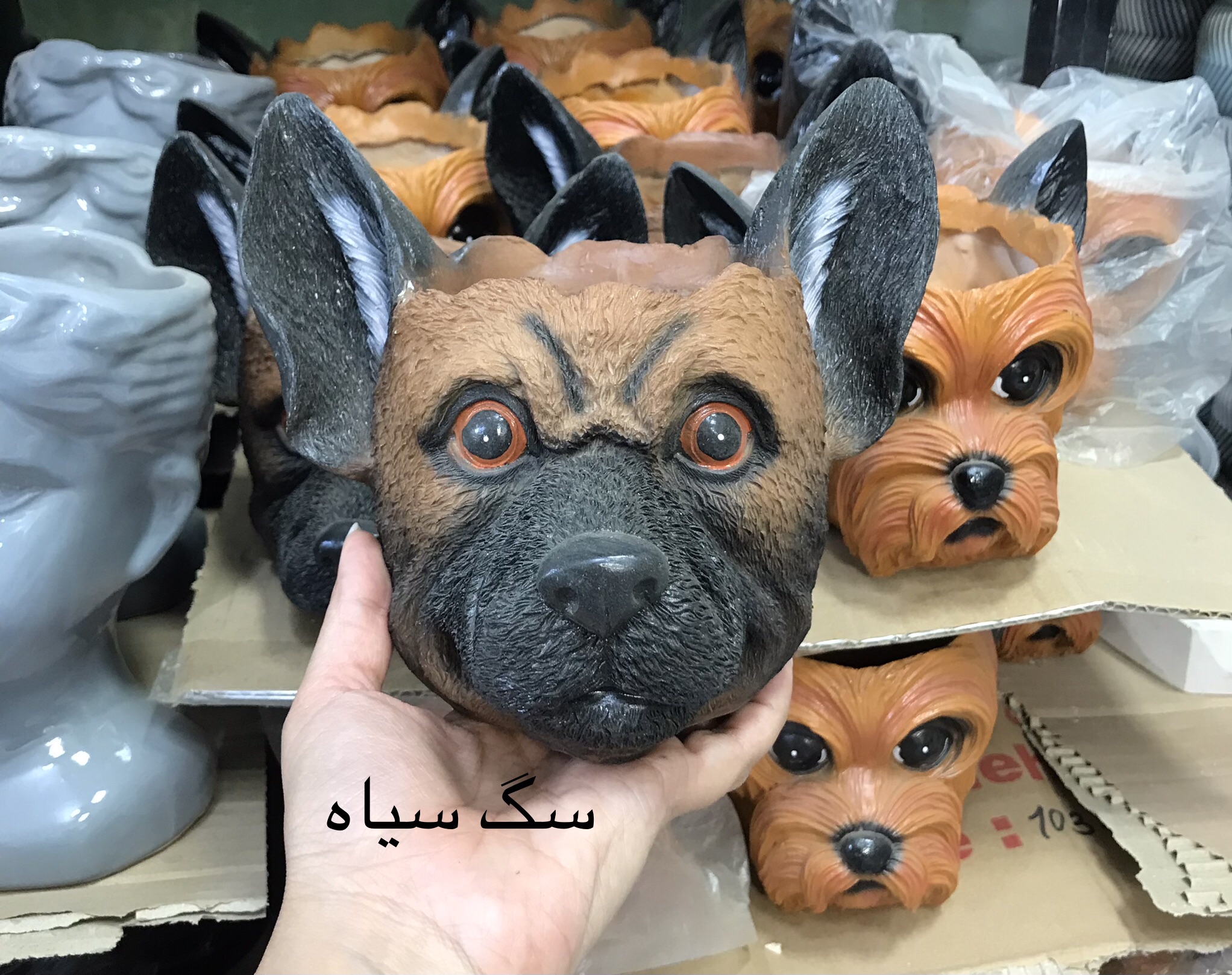 گلدان‌ چهره سگ