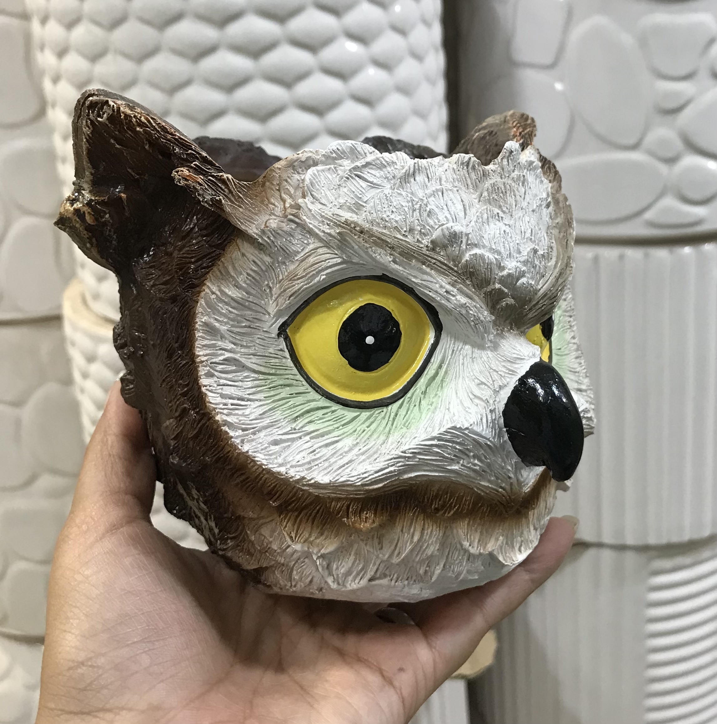 گلدان‌چهره جغد